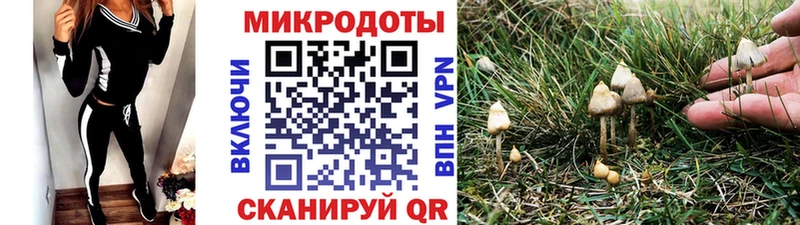 Псилоцибиновые грибы ЛСД  Липецк 